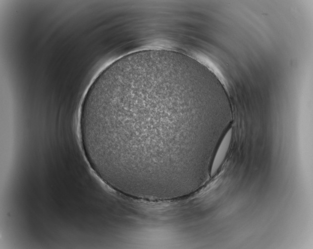 X0000094181103200711091138