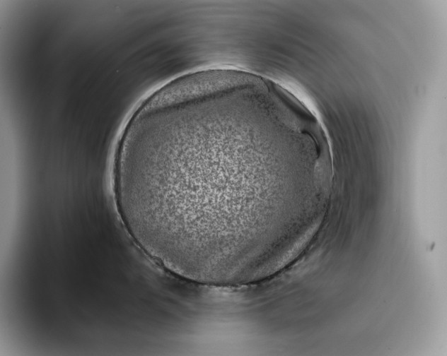 X0000094181104200711091138
