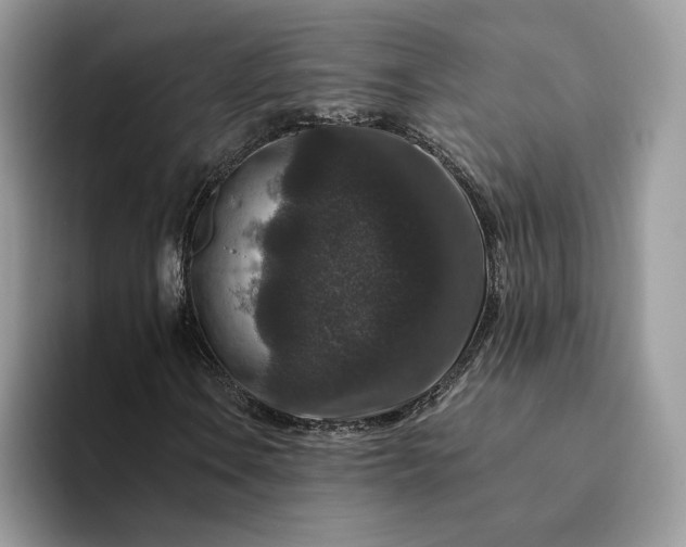 X0000094181106200711091137