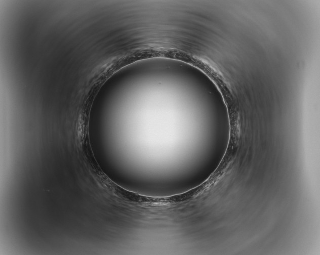 X0000094181110200711091137
