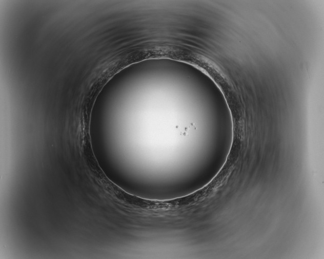X0000094181111200711091137