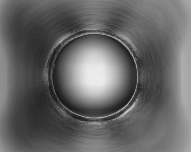 X0000094181114200711091137