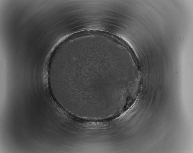 X0000094181115200711091137