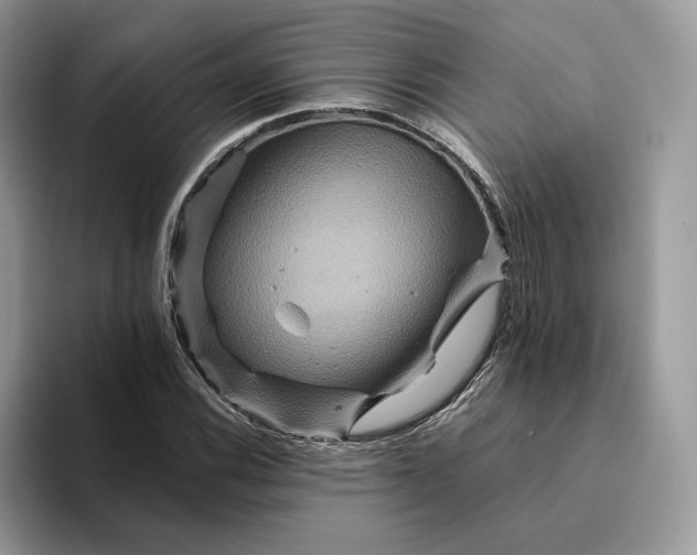 X0000094181116200711091137