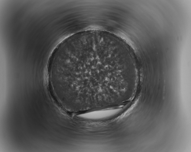 X0000094181117200711091137