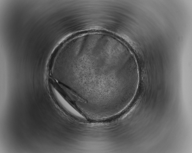 X0000094181118200711091137