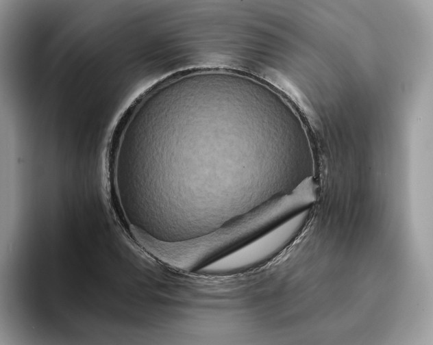 X0000094181120200711091137