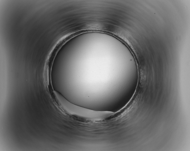 X0000094181123200711091137