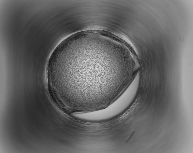 X0000094181124200711091137