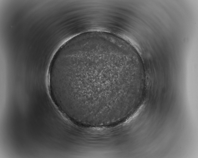 X0000094181125200711091137