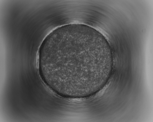 X0000094181126200711091137