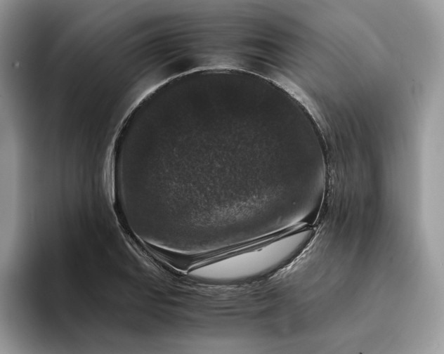 X0000094181127200711091137