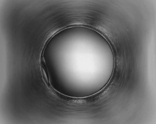 X0000094181129200711091137