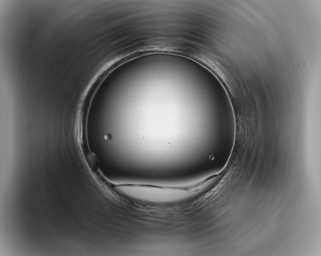 X0000094181131200711091137
