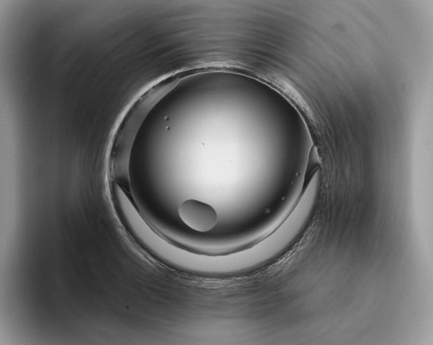 X0000094181132200711091137