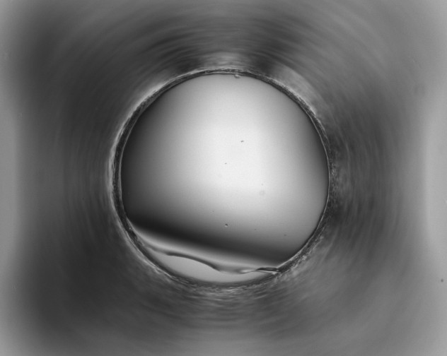 X0000094181135200711091137