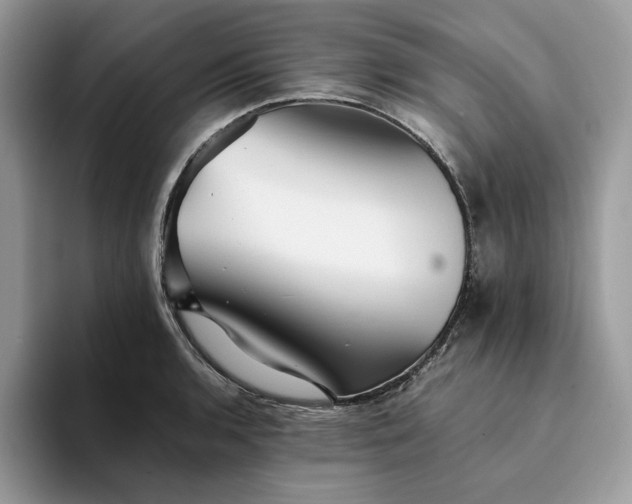 X0000094181136200711091137