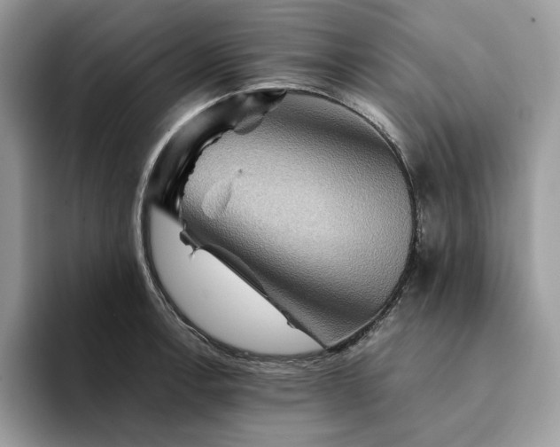 X0000094181138200711091137