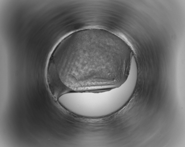 X0000094181140200711091138