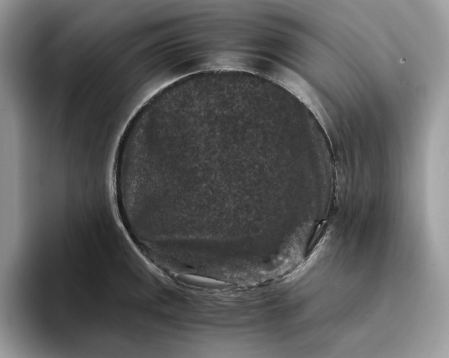 X0000094181141200711091138