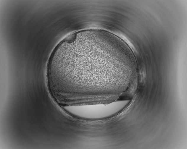 X0000094181142200711091138