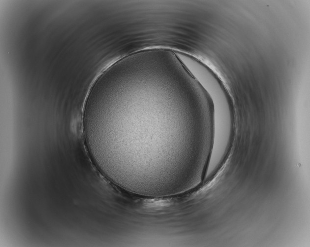 X0000094181145200711091138