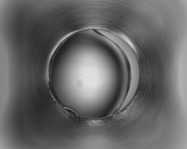 X0000094181148200711091138