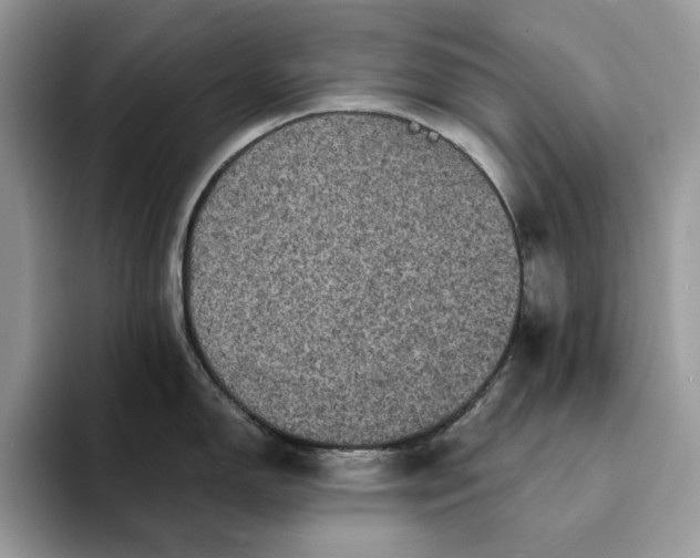 X0000094181150200711091138