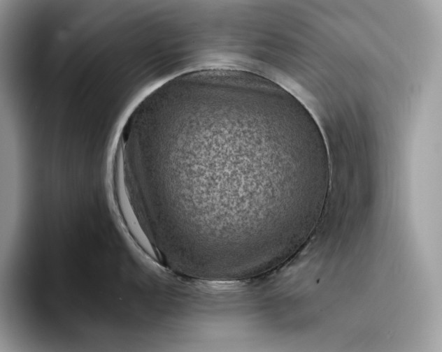 X0000094181152200711091138