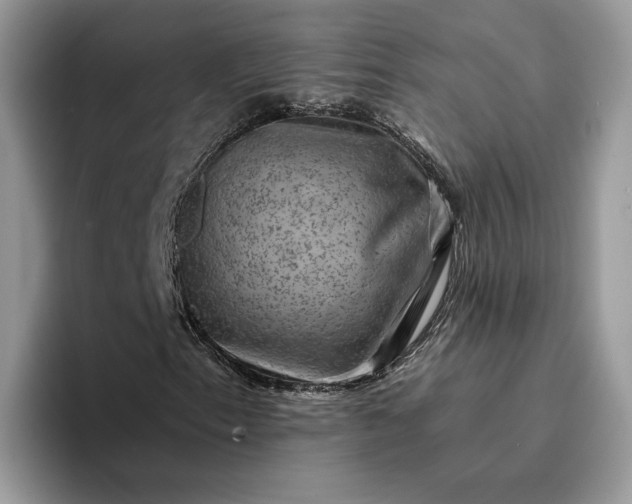 X0000094181153200711091137