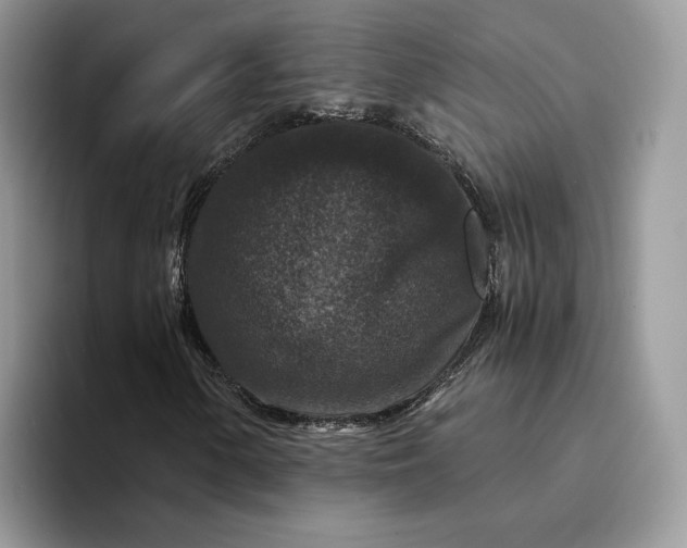 X0000094181154200711091137
