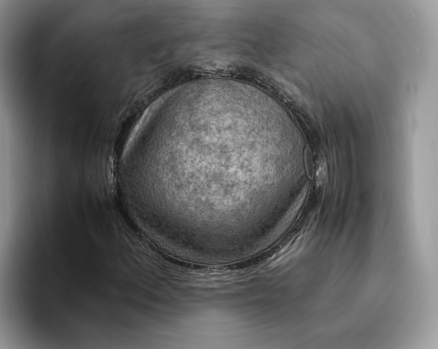 X0000094181156200711091137