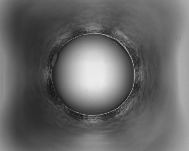 X0000094181157200711091137