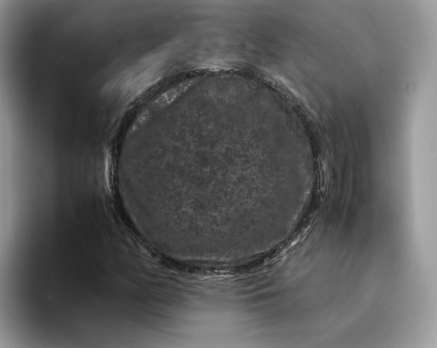 X0000094181158200711091137