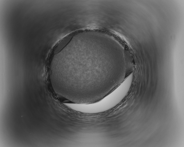 X0000094181160200711091137
