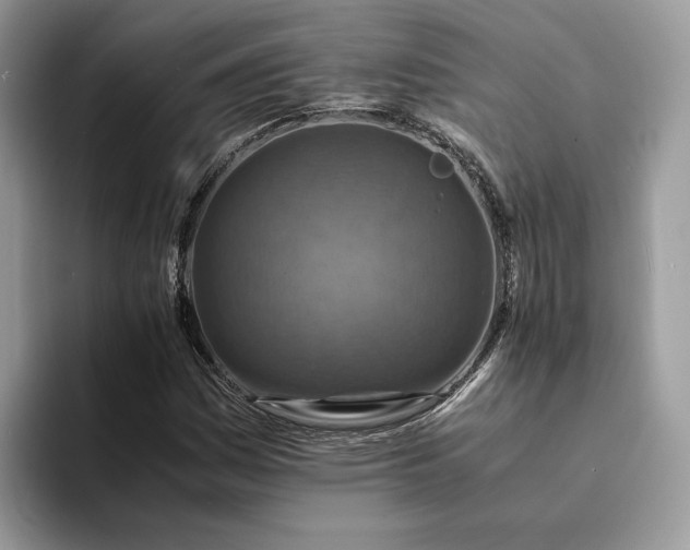 X0000094181161200711091137