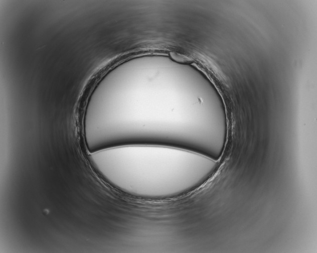 X0000094181164200711091137