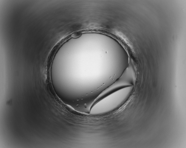 X0000094181165200711091137