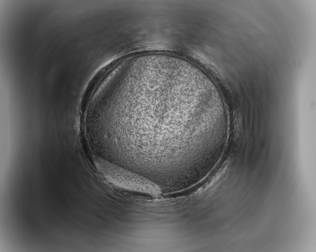 X0000094181166200711091137