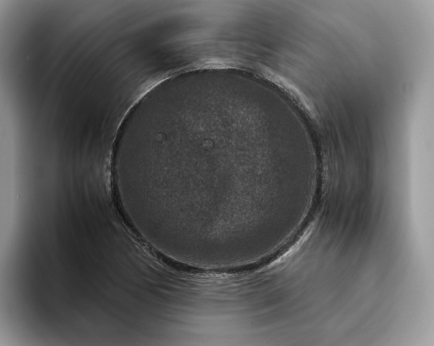 X0000094181170200711091137