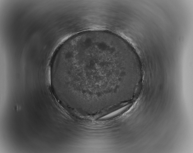 X0000094181171200711091137