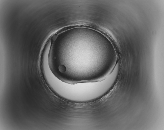 X0000094181172200711091137