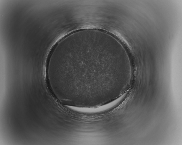 X0000094181173200711091137