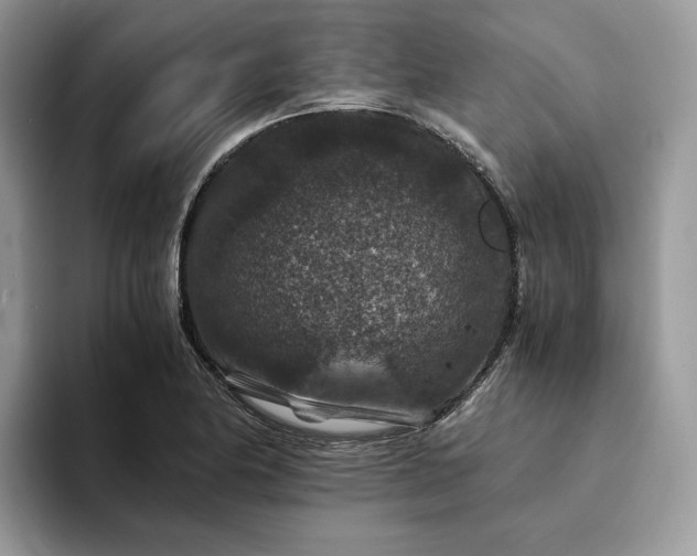 X0000094181174200711091137