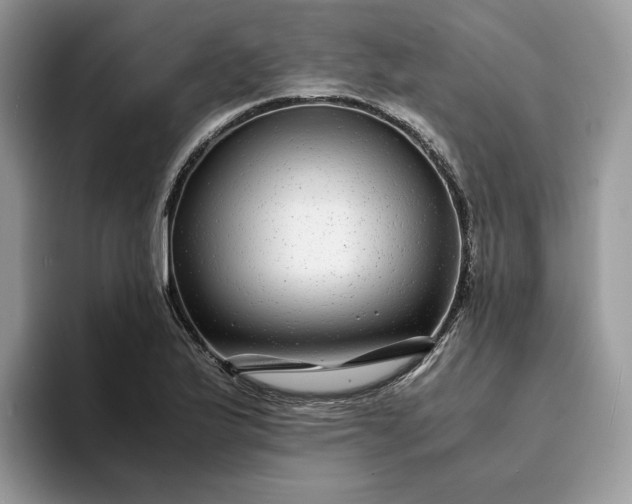X0000094181175200711091137