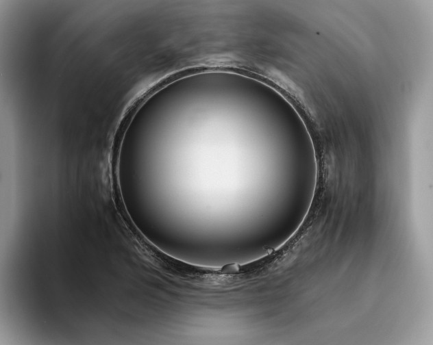X0000094181176200711091137
