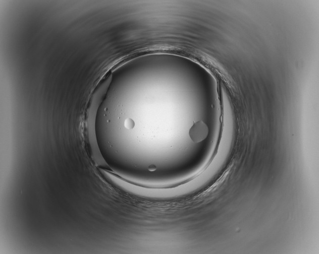 X0000094181177200711091137