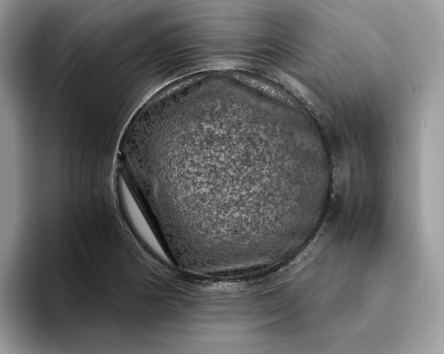 X0000094181178200711091137