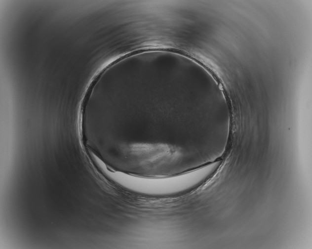 X0000094181179200711091137
