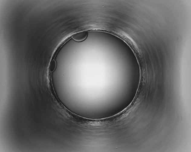 X0000094181182200711091137